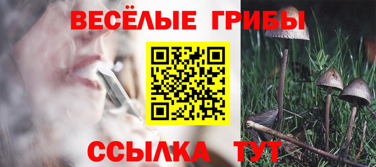 Галлюциногенные грибы мицелий Надым